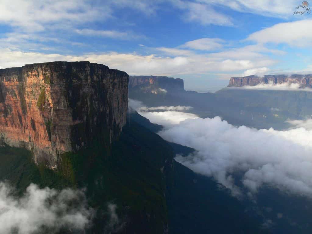 image biodiversidad Venezuena 2