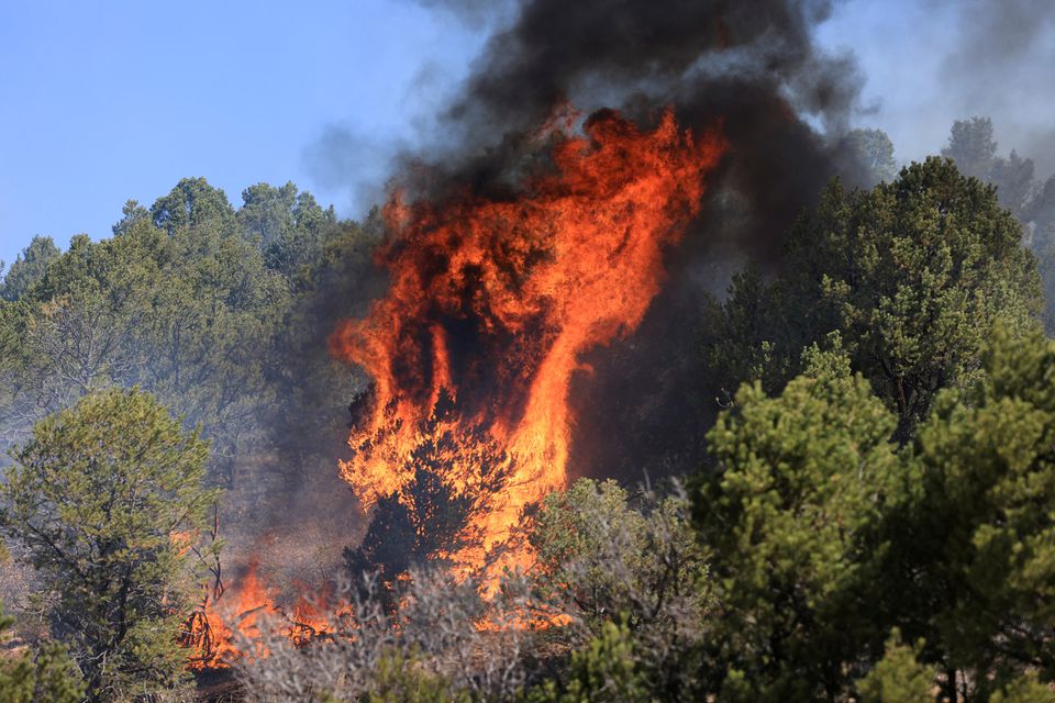 El Servicio Forestal de EEUU calificó al incendio de Nuevo México como el más grande