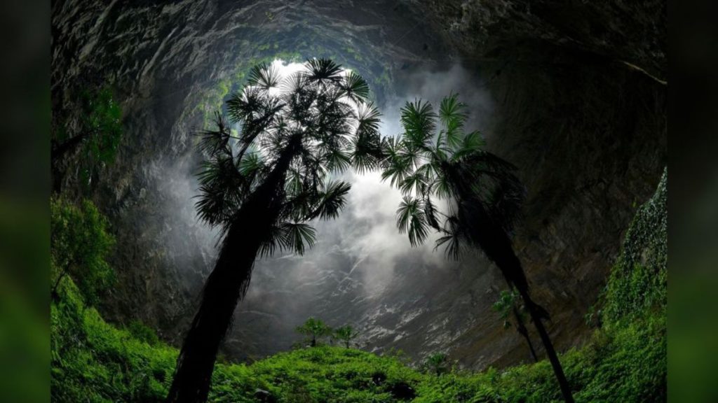 China: descubrieron un gigantesco bosque a 192 metros de profundidad