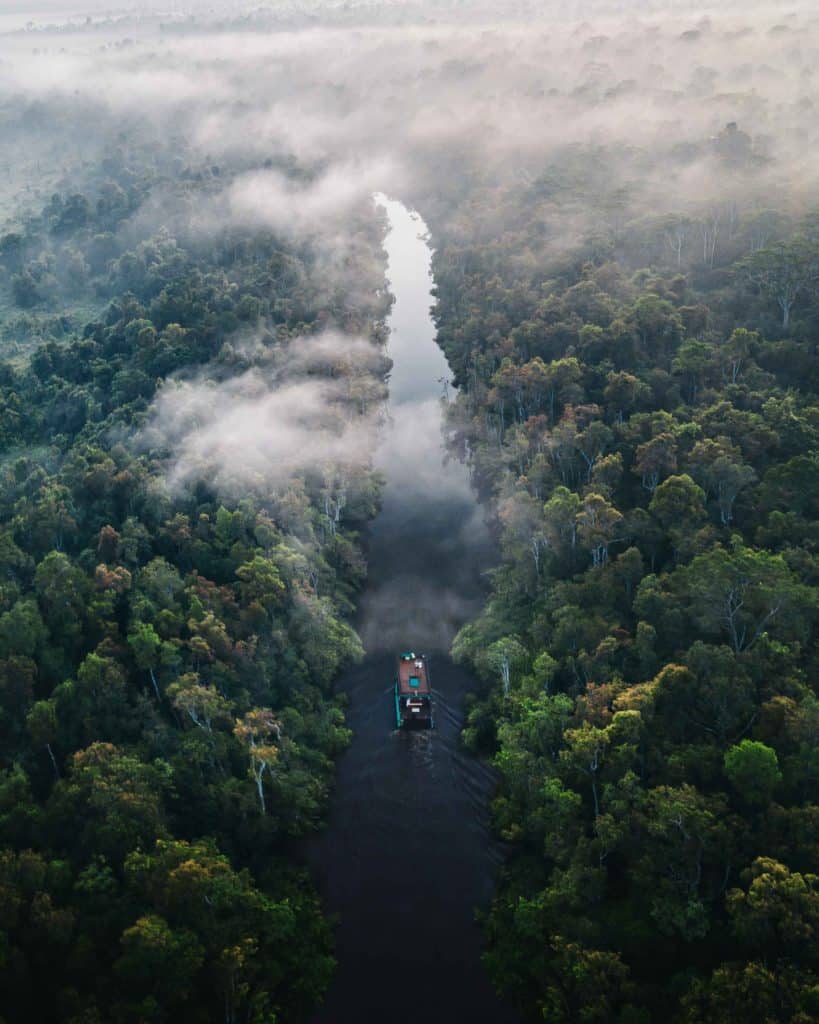 image amazonas filippo cesarini RyKnhwO7wMw unsplash