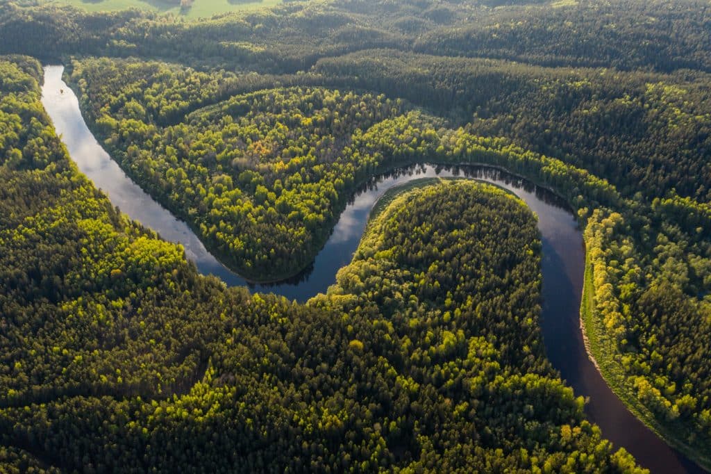 El Amazonas brasilero perdió más de 1.000 kilómetros cuadrados de árboles en abril