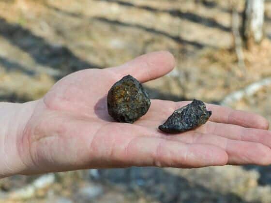 Las carreteras en Mississippi se llenaron de meteoritos pequeños: son restos de una bola de fuego que impactó hace días