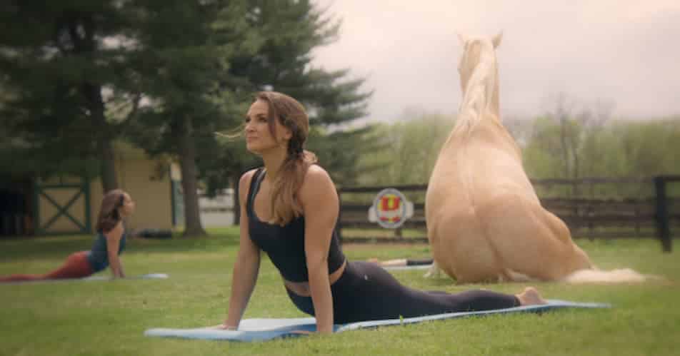 yoga caballos