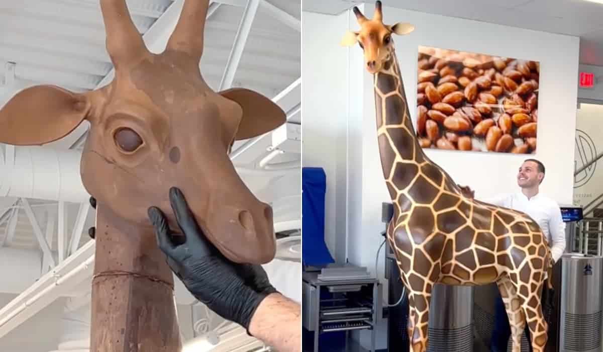 Esta jirafa de dos metros de altura está hecha completamente de chocolate y es 100% comestible-1