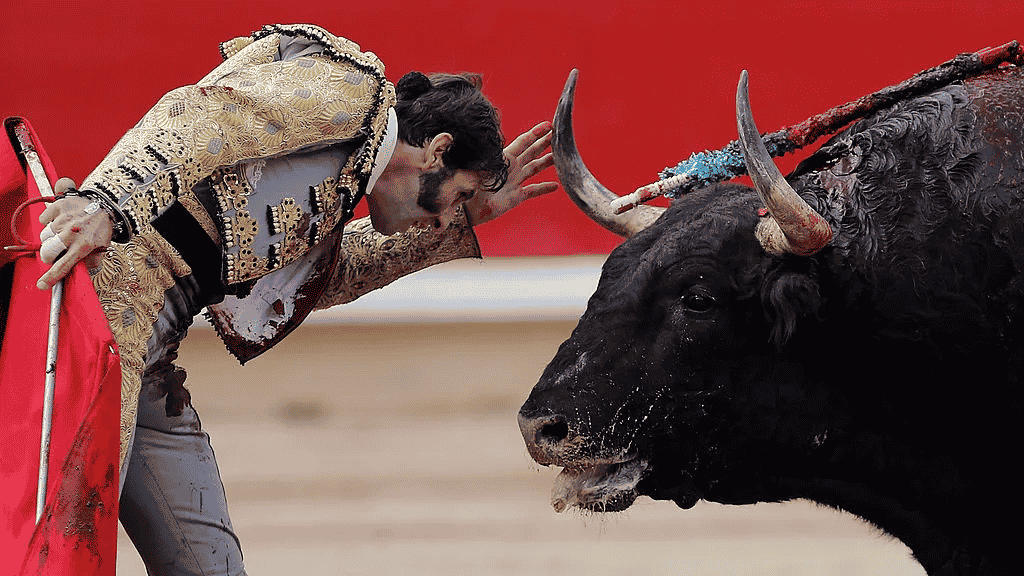 toros méxico corridas