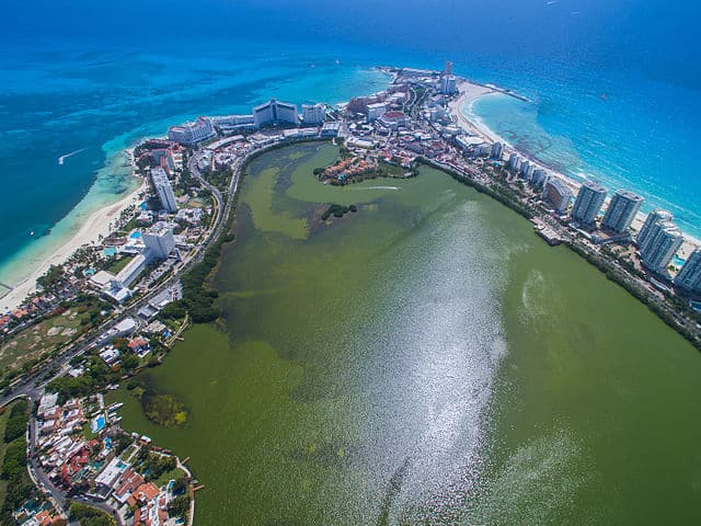 Cancún: Ambientalistas se oponen a la construcción de alojamientos turísticos sobre la laguna Nichupté