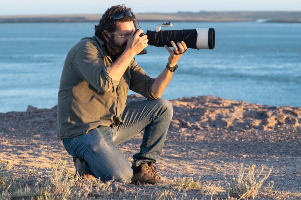 image Safaris fotográficos en Argentina Safaris fotograficos en Argentina el avistaje de pumas se vuelve un gran atractivo en el noroeste de Santa Cruz 2