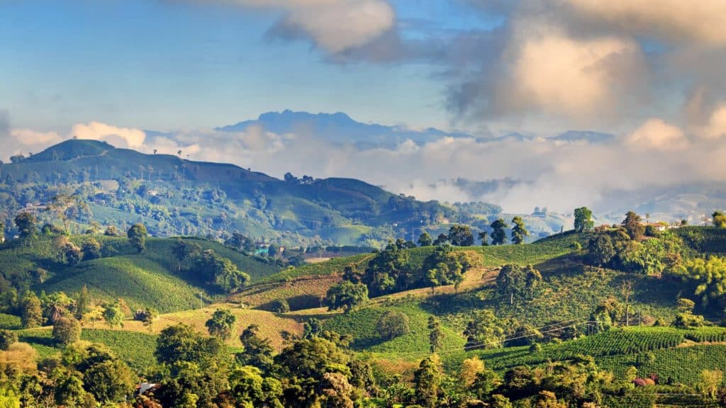 Colombia ha sido nominado como destino líder de turismo de naturaleza en Sudamérica
