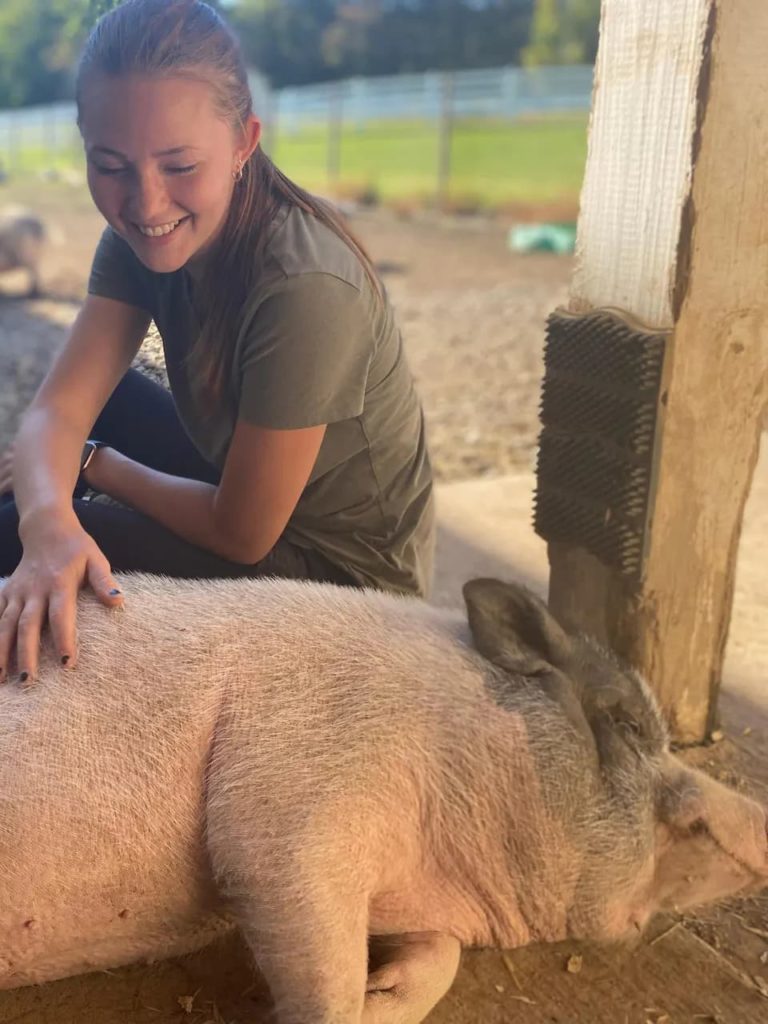 Este adorable tour por un santuario animal te permite visitar y mimar a cerditos panzudos rescatados cerca de Nueva York