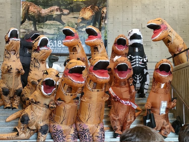 tottori-museum-t-rex-exhibition-4