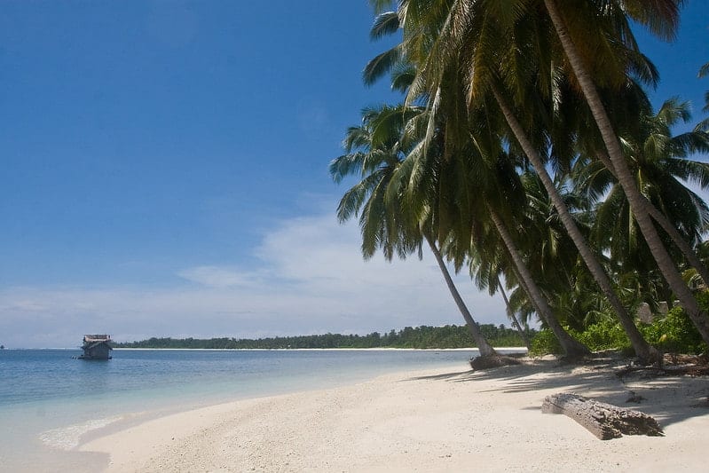 image surfear en indonesia 3 Mentawai