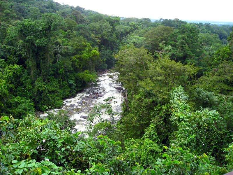 image que ver en Honduras 3 Parque Nacional Pico Bonito