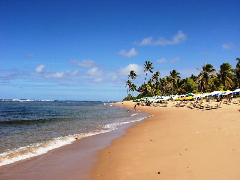 image playas de buzios 3 Praia do Forte