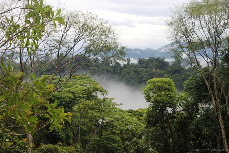 image que ver en Honduras 4 Reserva de la Biosfera Rio Platano