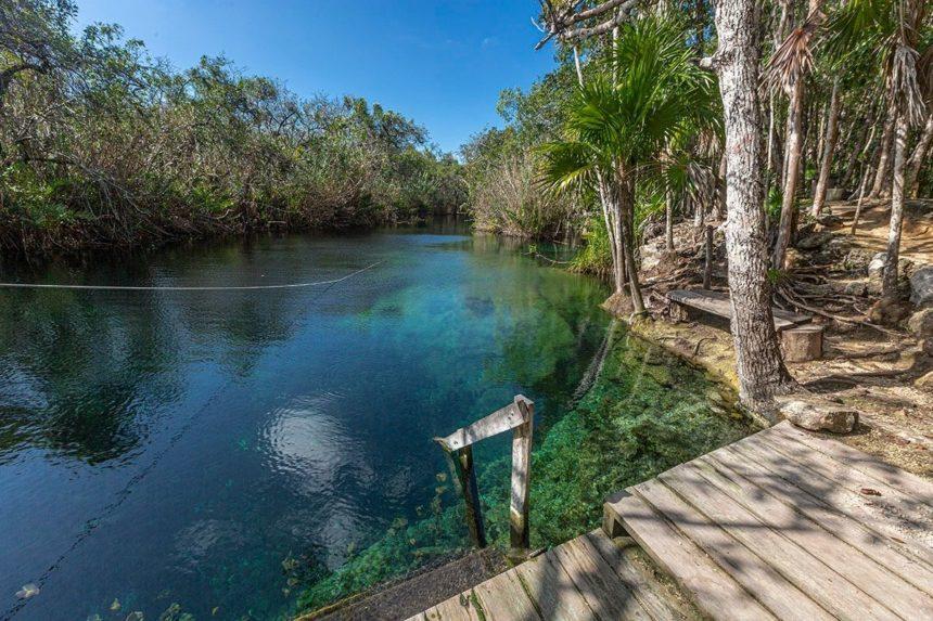 image cenotes Cenote Escondido 3 860x573 1