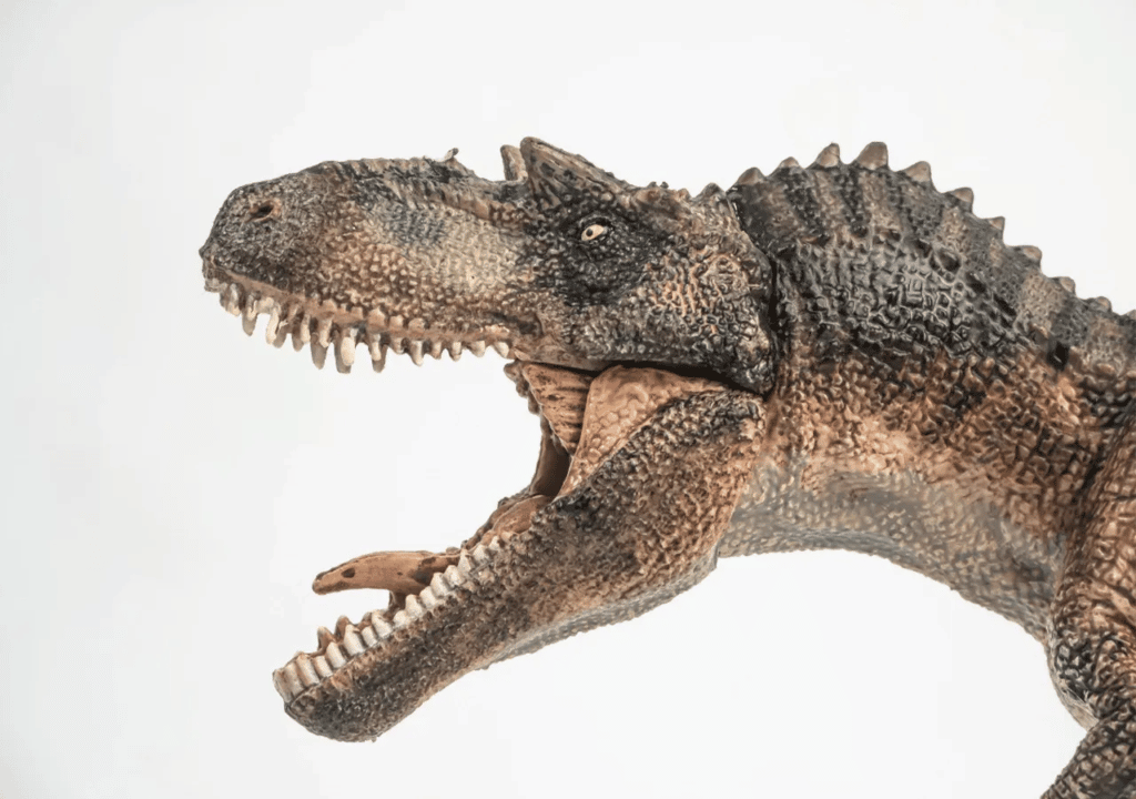 image dinosaurio Gorgosaurus