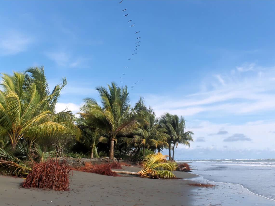 image Ladrilleros Beach Colombia