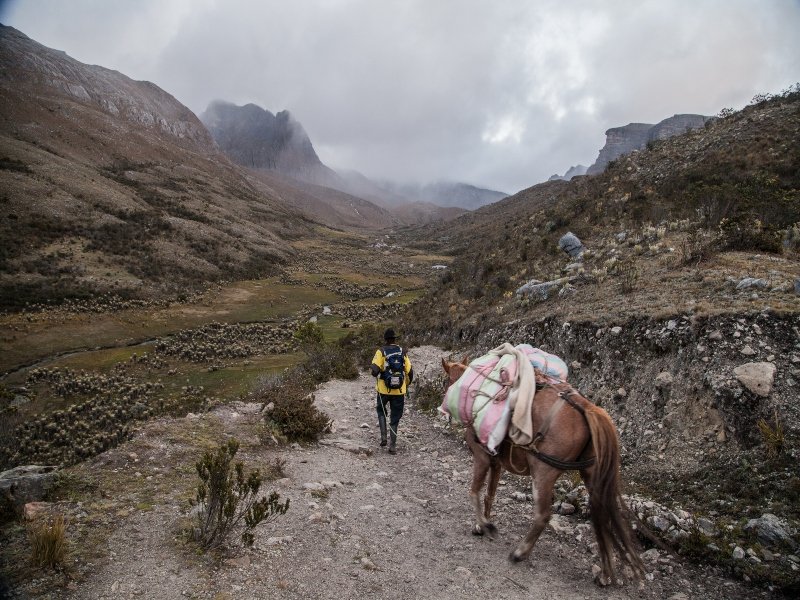 image Panorámica del nevado El Cocuy y un campesino con su caballo