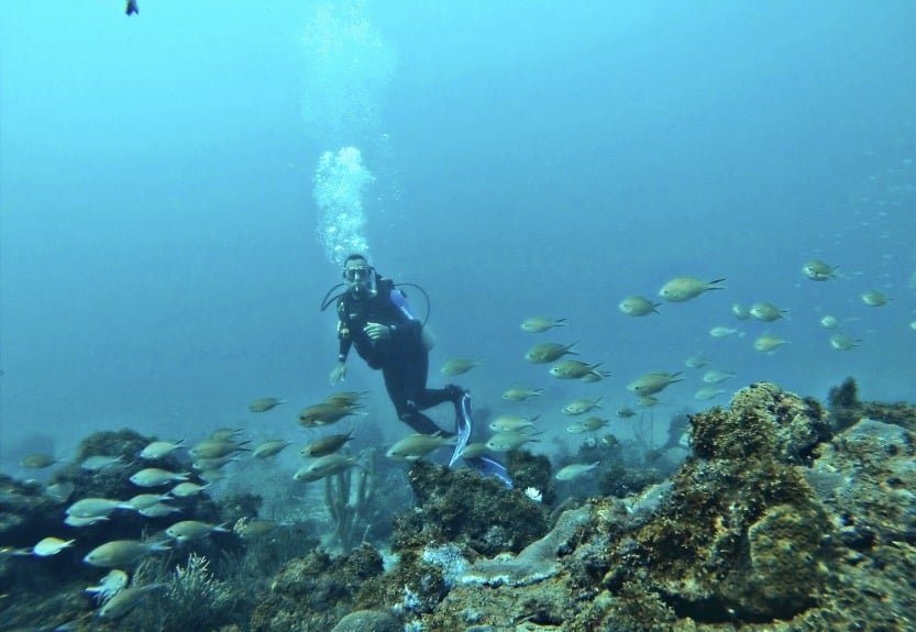 image buceo santa marta