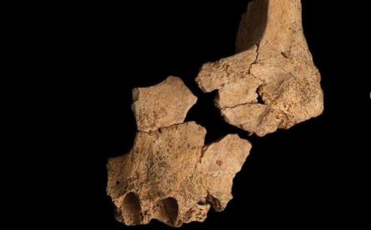 image fósil cara atapuerca2 R6986jkSUPzTecAmxm1IQYM 758x470@abc 1