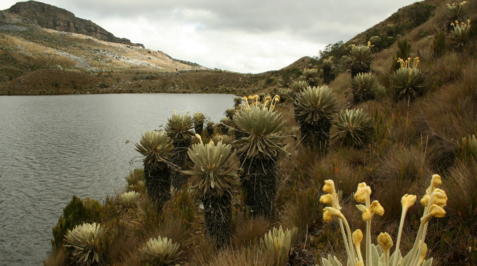 image cocuy paisaje fotografia david paez archivo de parques 254 1