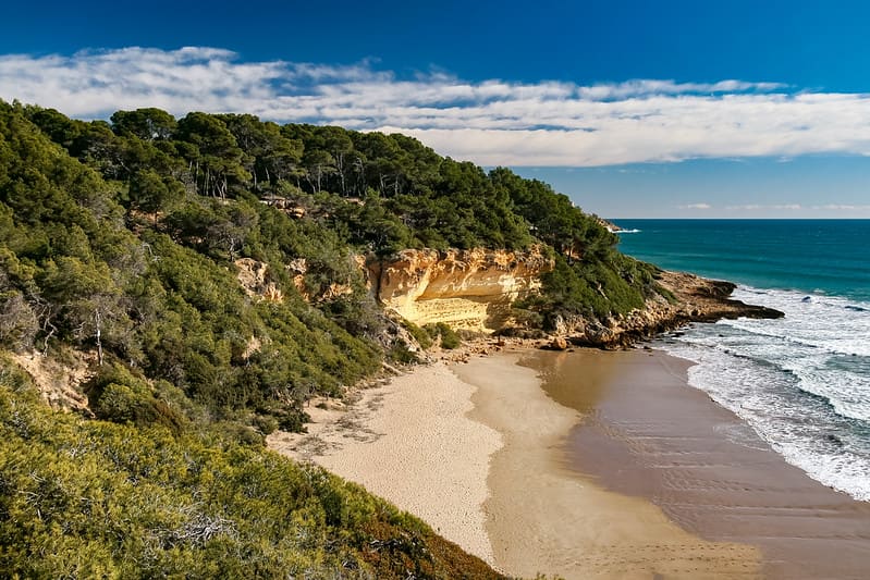 image playas de cataluña 7 Cala Fonda