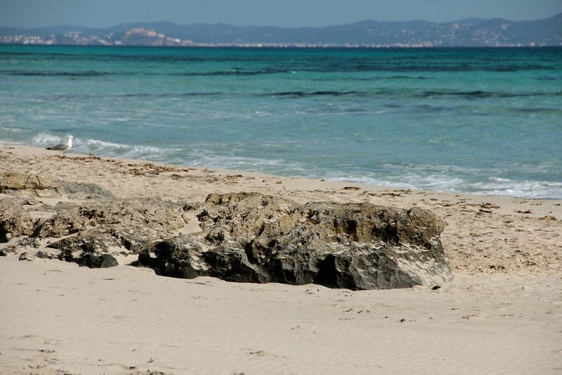 image playas de barcelona 8 Playa de Llevant