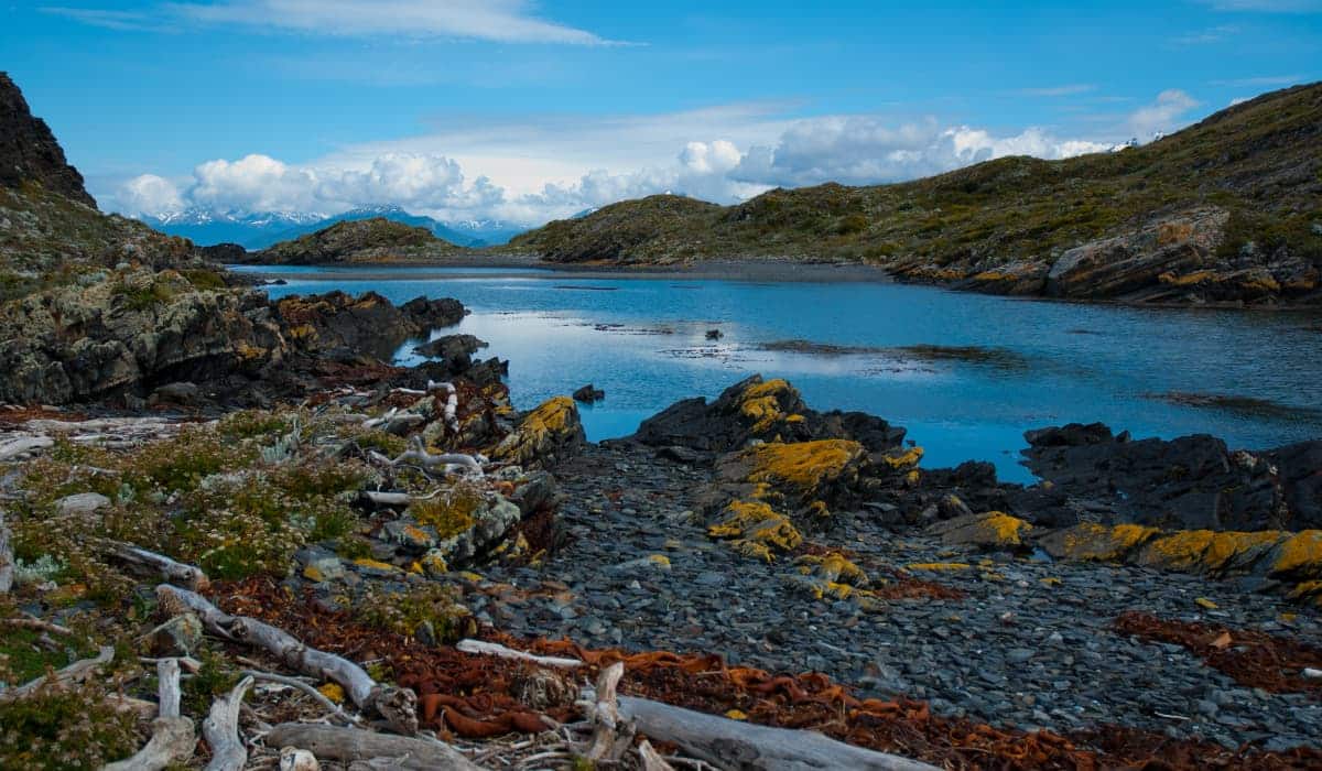 Argentina Puerto Madryn, El Calafate y Ushuaia se unen para que viajeros experimenten una Patagonia Fantástica