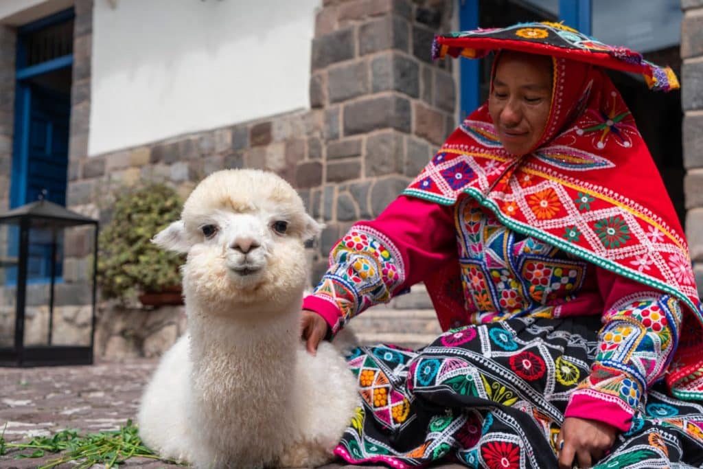 Disfruta de tours junto a alpacas en el cautivante Perú: 3 formas de visitarlas en Cusco