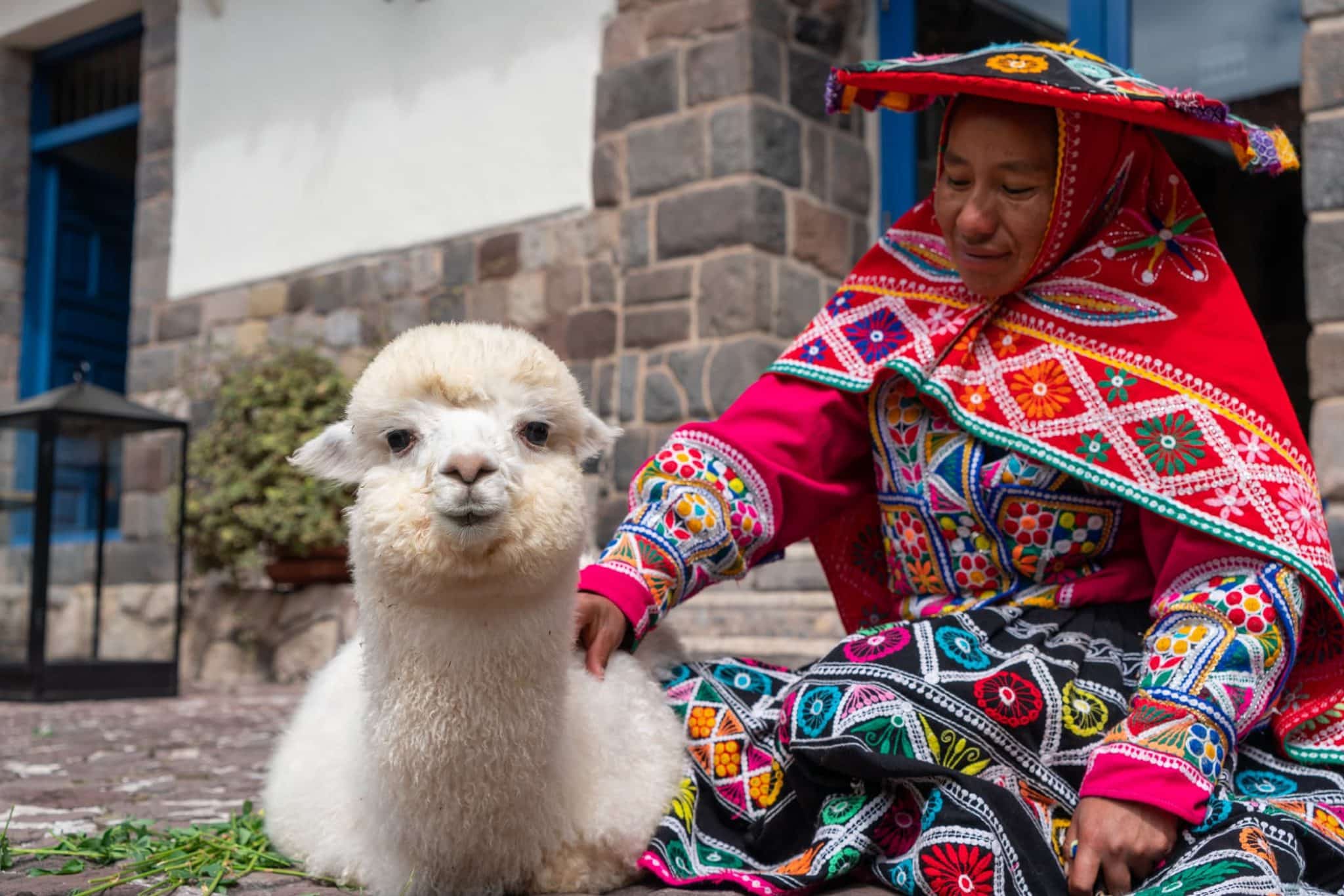 Disfruta de tours junto a alpacas en el cautivante Perú 3 formas de visitarlas en Cusco