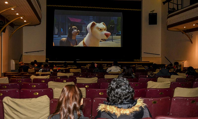 cine-para-perros-sudamérica-1