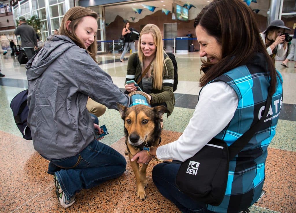 El Aeropuerto Internacional de Denver ingresa al Récord Mundial Guinness por tener el programa de terapia con animales de aeropuerto más grande del mundo