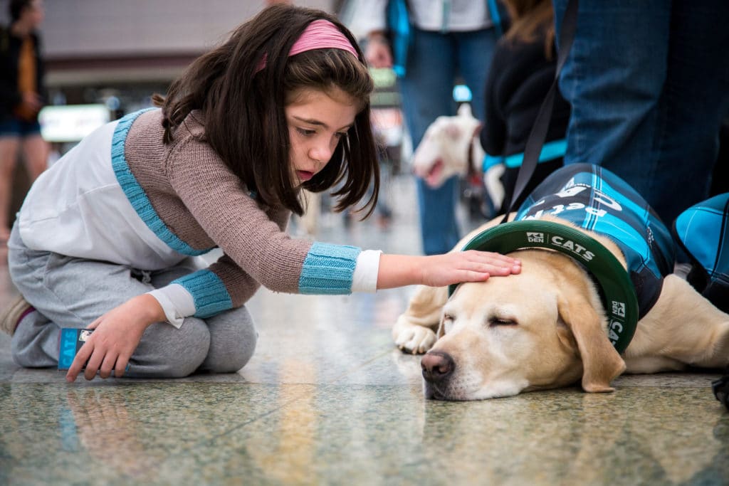 image Aeropuerto Internacional de Denver Aeropuerto Internacional de Denver programa terapia animales 2