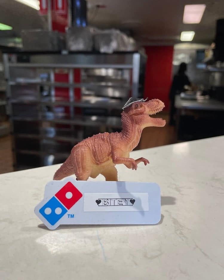 image El personal de una pizzeria encontro un pequeno dinosaurio olvidado y lo convirtieron en un empleado del lugar1