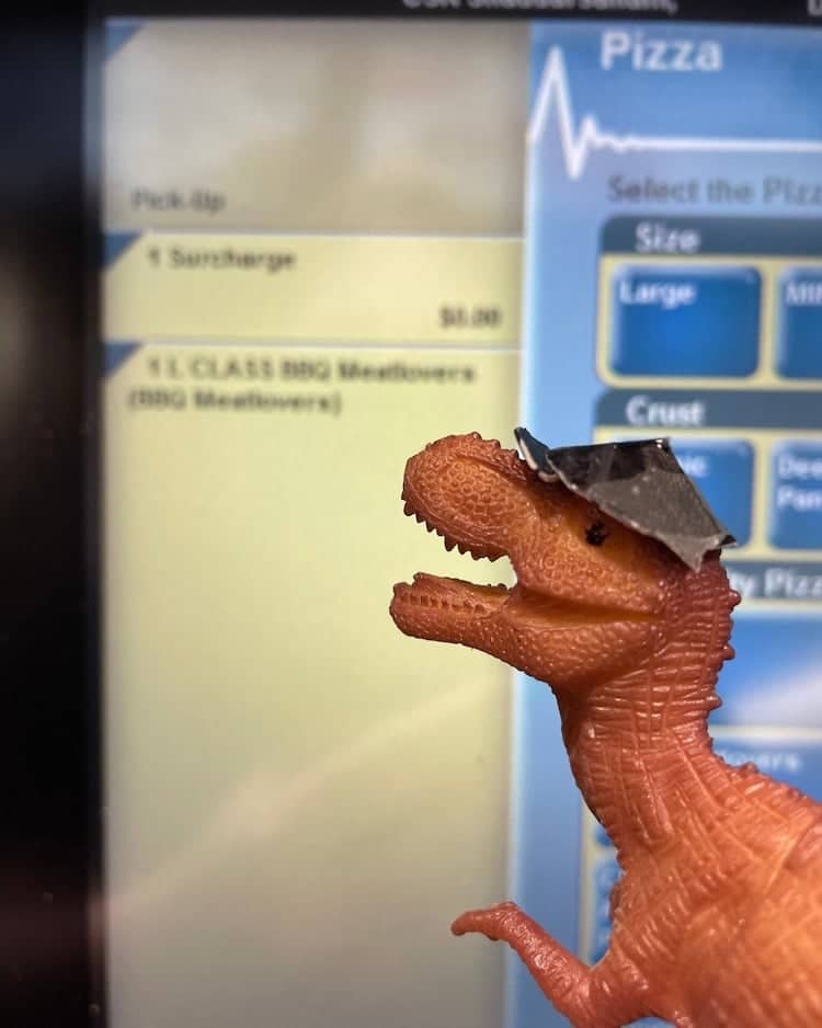 image El personal de una pizzeria encontro un pequeno dinosaurio olvidado y lo convirtieron en un empleado del lugar2