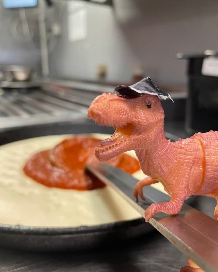 image El personal de una pizzeria encontro un pequeno dinosaurio olvidado y lo convirtieron en un empleado del lugar4