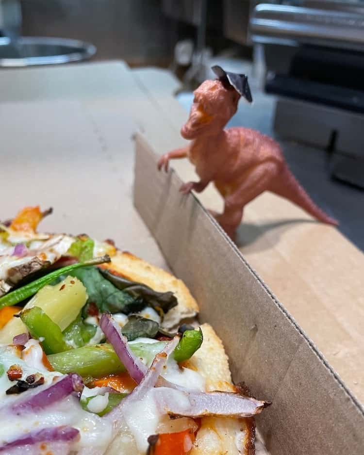 image El personal de una pizzeria encontro un pequeno dinosaurio olvidado y lo convirtieron en un empleado del lugar5