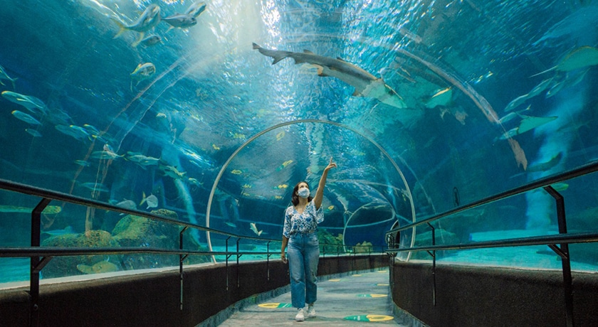 image cosas para hacer en El Cairo acuario rio de janeiro aquario 16