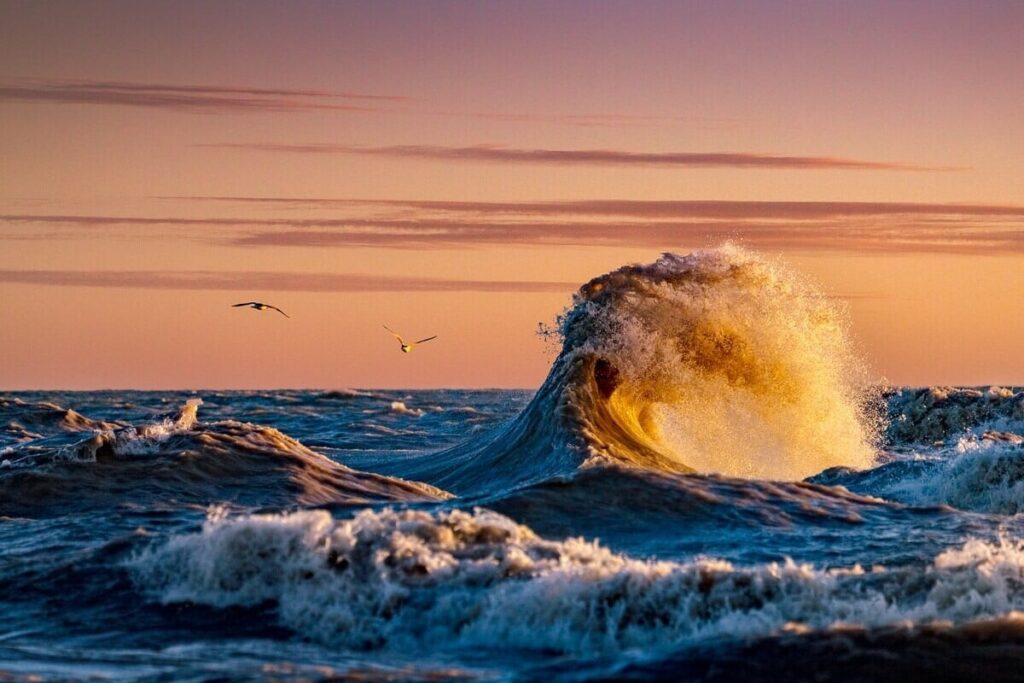 image olas trevor pottelberg mar oceano naturlaeza fotografia silvestre 6