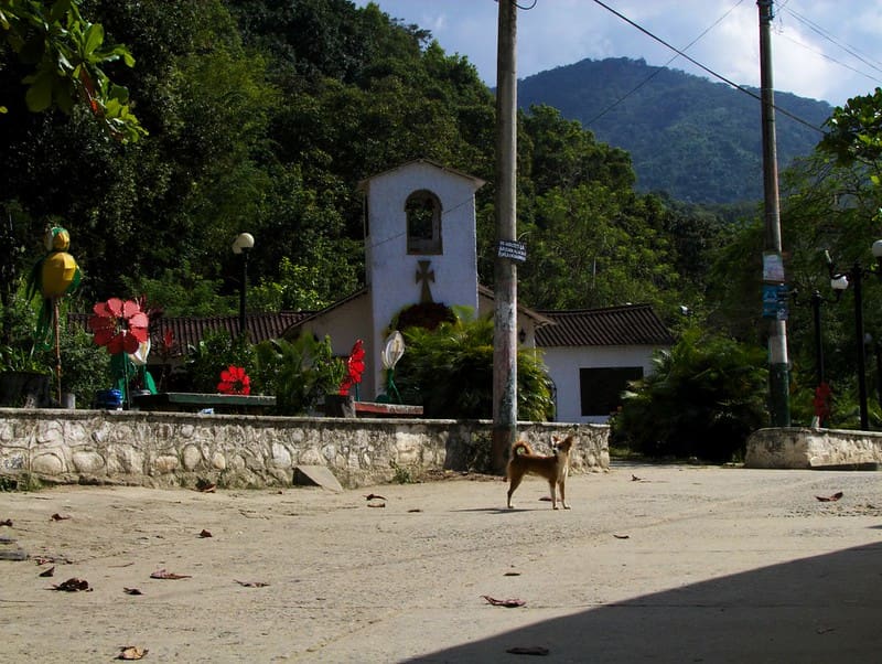 image cosas para hacer en Santa Marta 3 Minca