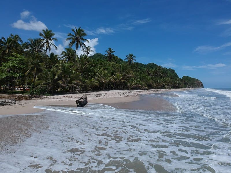 image cosas para hacer en Santa Marta 5 Palomino