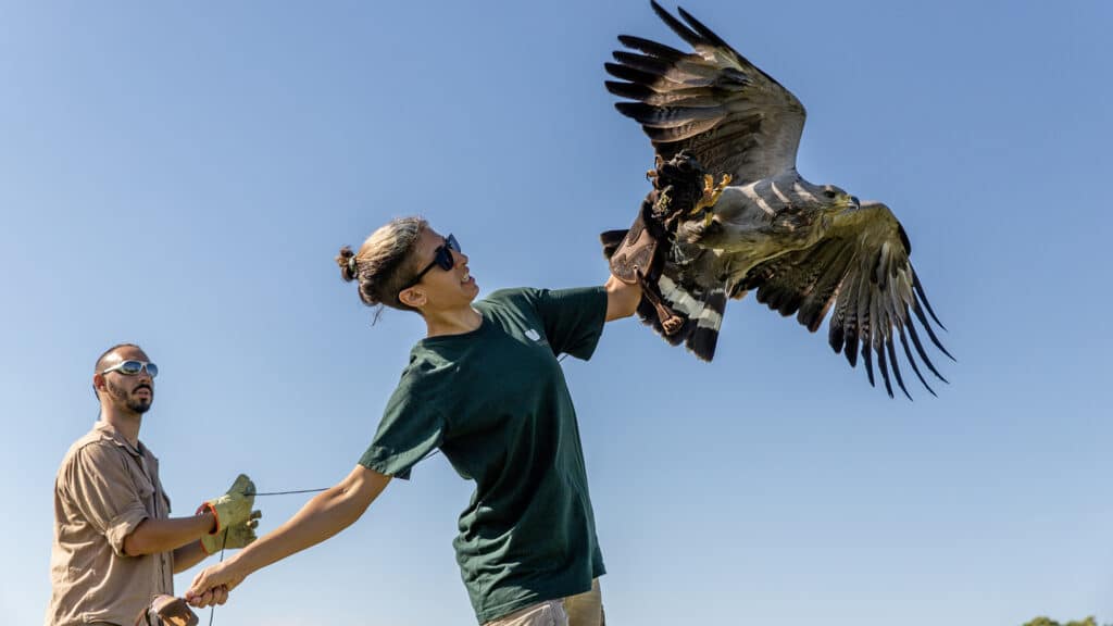 image Aguila Ecoparque 8