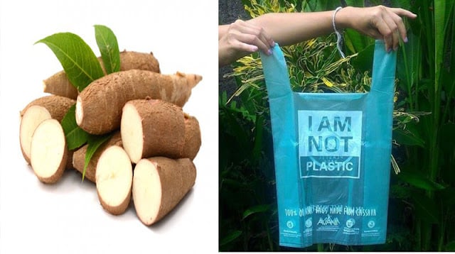 Avani-Eco-bolsa-de-yuca