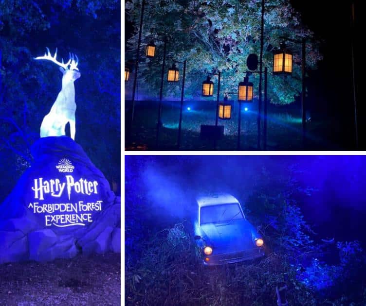 Harry Potter: A Forbidden Forest Experience