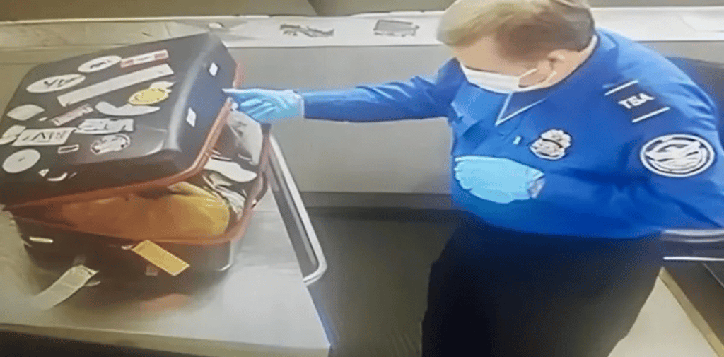 gato Viajaba a Orlando y perdió el vuelo porque encontraron un gato en su maleta image gato image 176