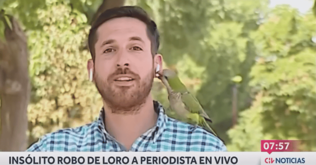 periodista Un periodista sufrió un insólito robo en plena nota: "Sigue prófugo" image periodista image 3