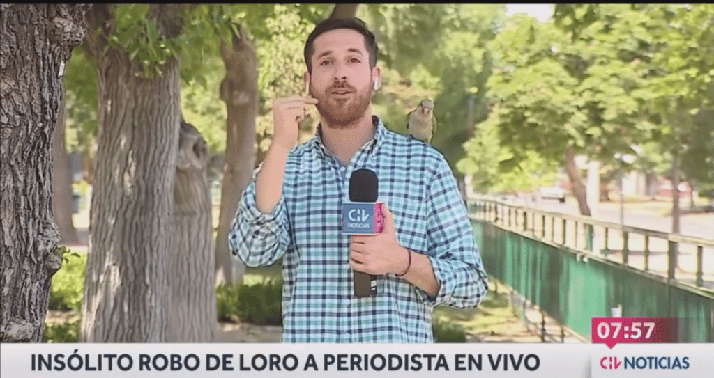 periodista Un periodista sufrió un insólito robo en plena nota: "Sigue prófugo" image periodista image 5