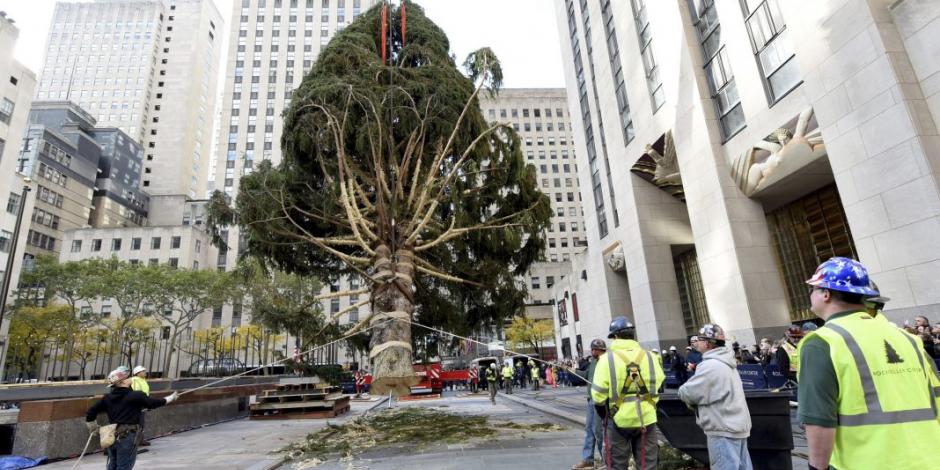 Nueva York: El árbol de Navidad del Rockefeller Center se iluminará el 30 de noviembre en una transmisión en vivo