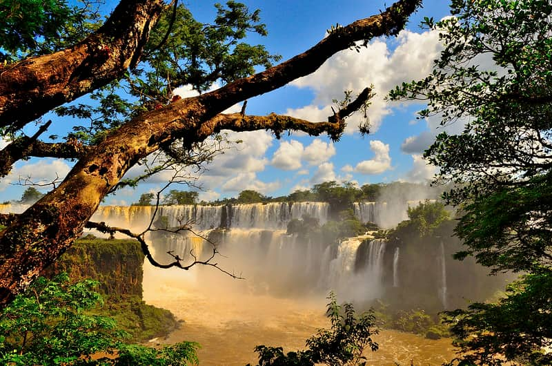 image ciudades de Argentina 4 Puerto Iguazu