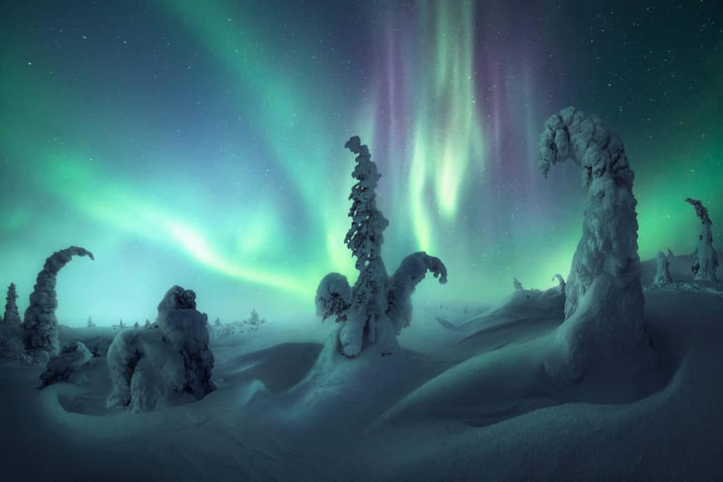 image auroras boreales Auroras boreales 1NicoRinaldi PolarisDream 1536x1024 1